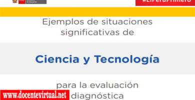 Ejemplos de situaciones significativas de Ciencia y Tecnología para la evaluación diagnóstica