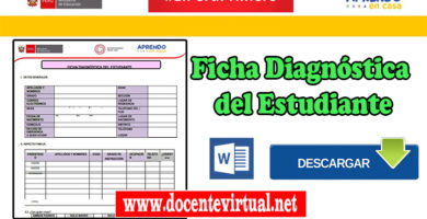 Ficha Diagnóstica del Estudiante