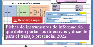 Fichas de instrumentos de información que deben portar los directivos y docente para el trabajo presencial 2022