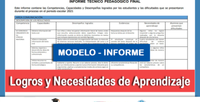 Modelo de Informe - Desempeño Logrado y Necesidades de Aprendizaje